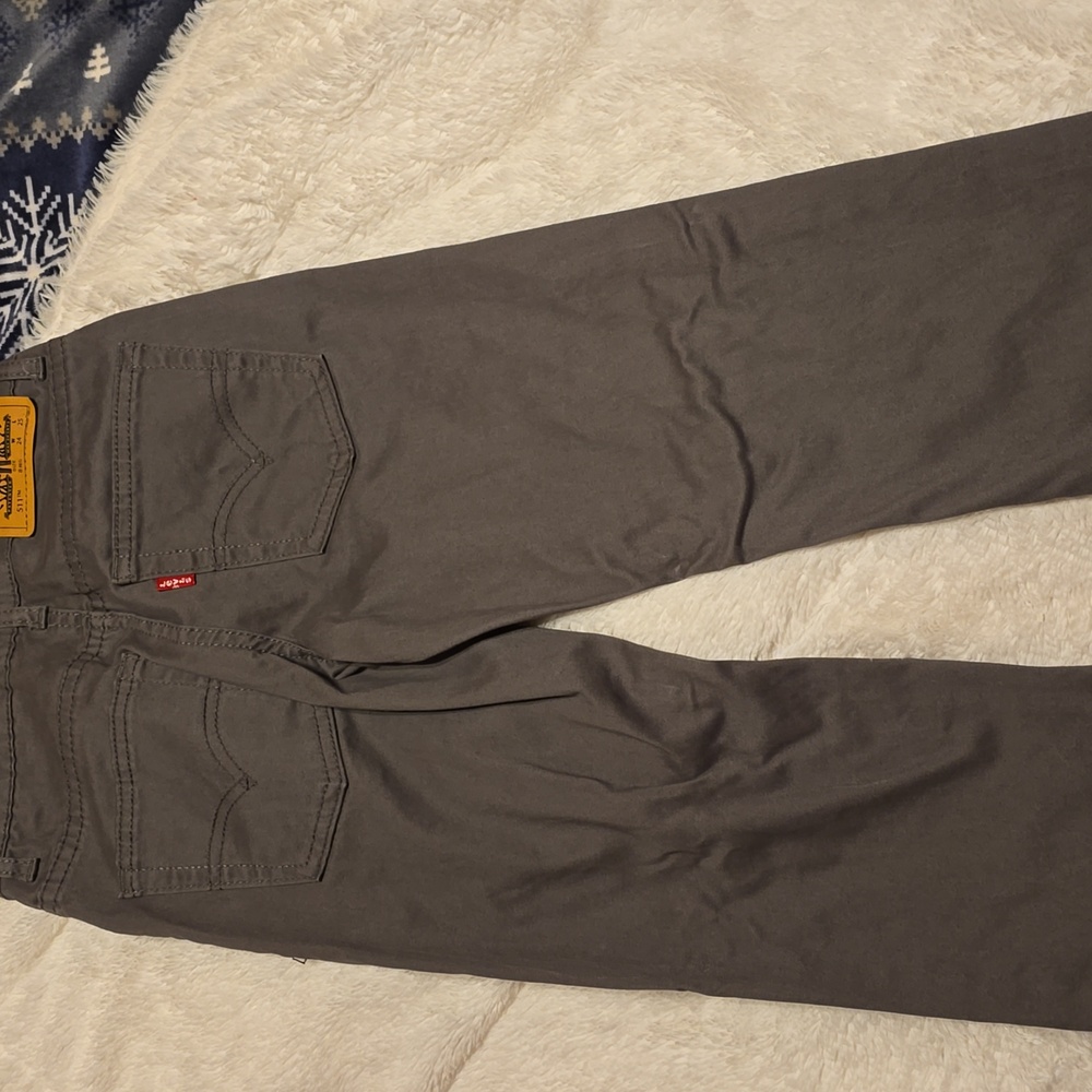 Gray Levi 511